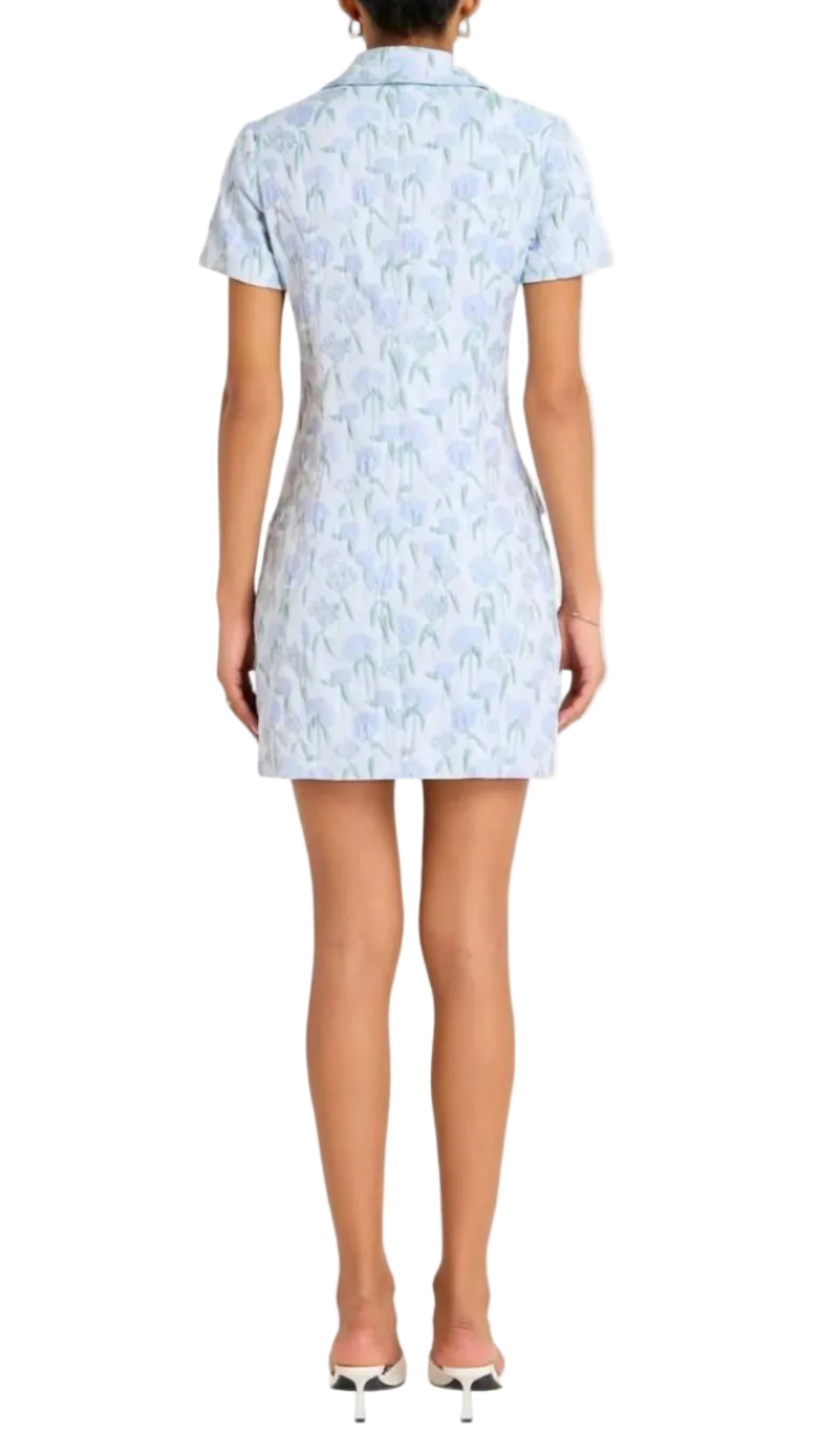 Belmont Dress