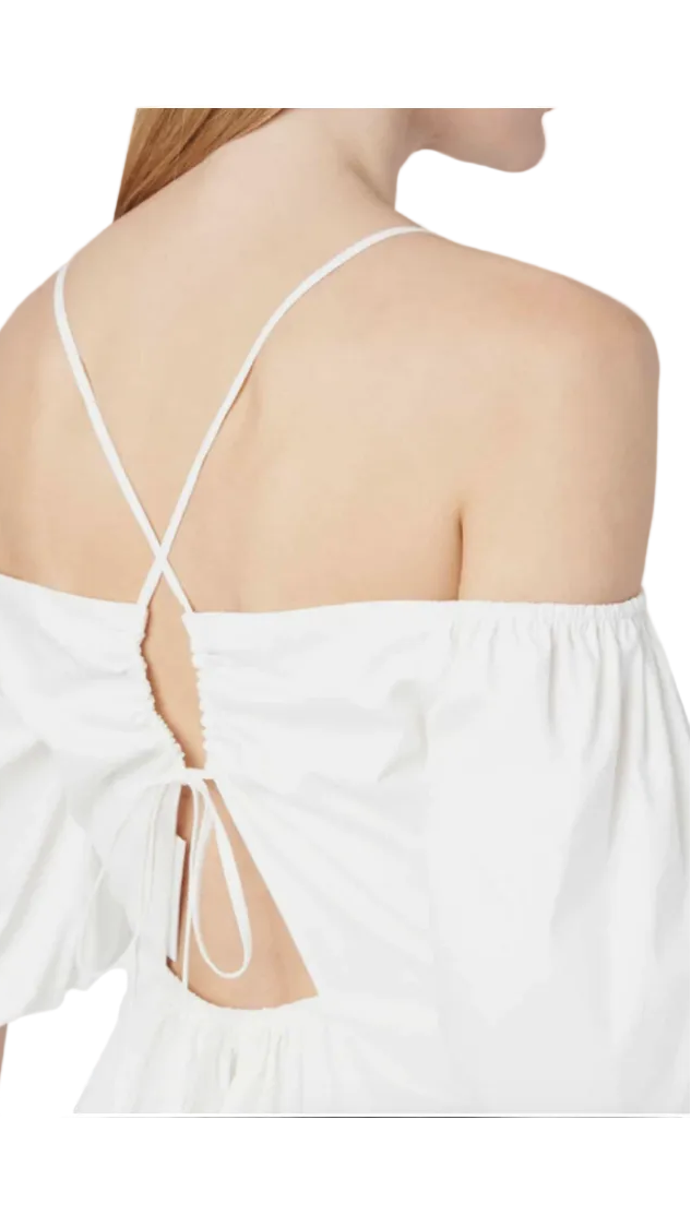 Milly Briar Embroidered Poplin Mini Dress