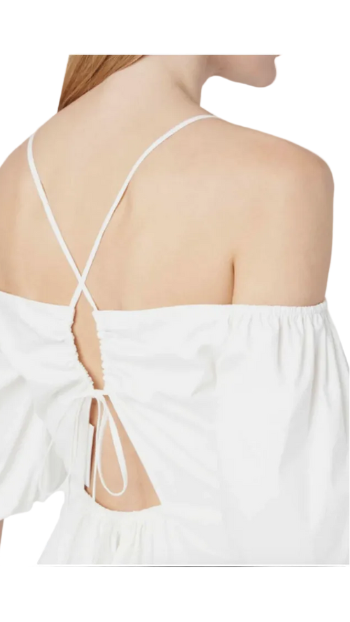 Milly Briar Embroidered Poplin Mini Dress
